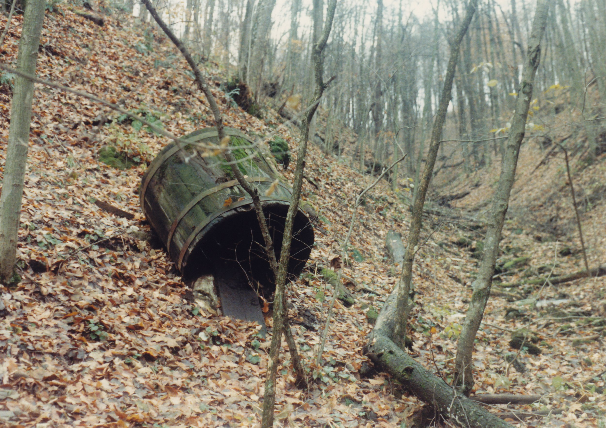 19881106_0009_OH_OH_Farm_TrainTunnel_.jpg