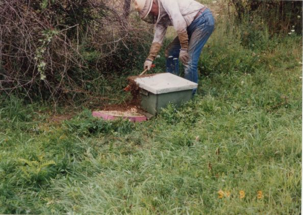 19940903_303_OH_Farm_sm.jpg