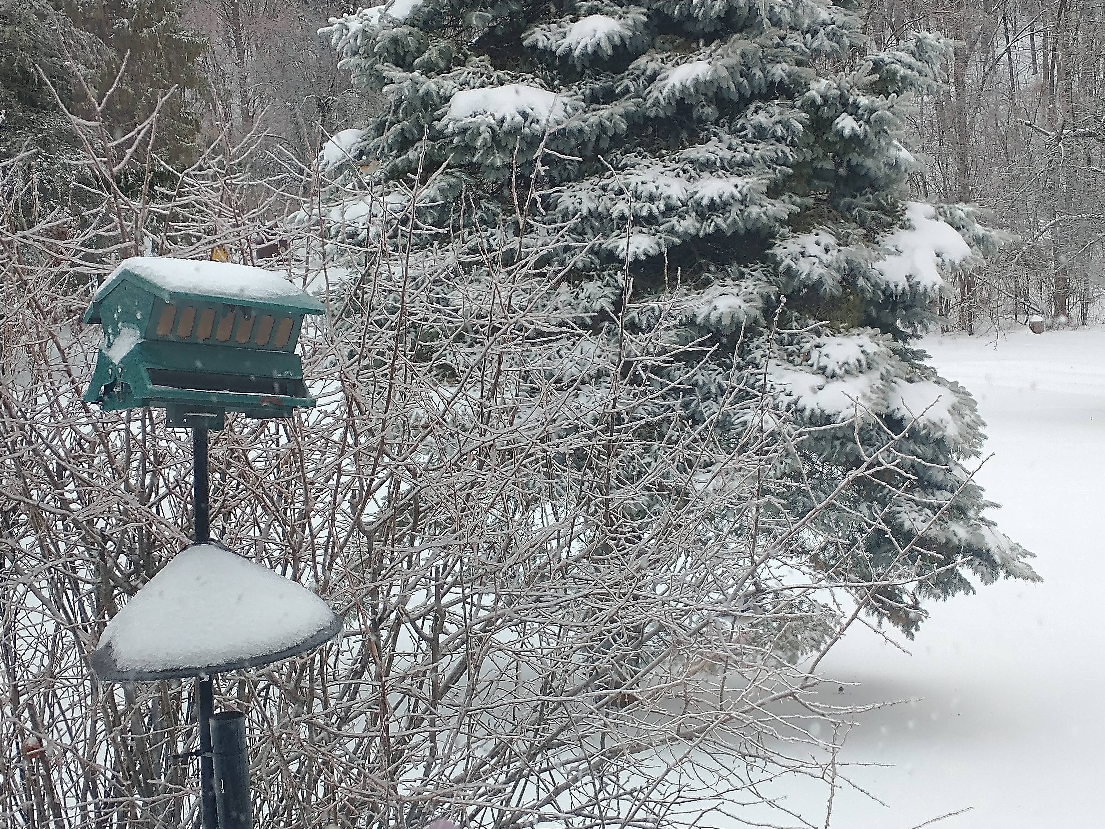 2 16 2025 light freezing rain.jpg