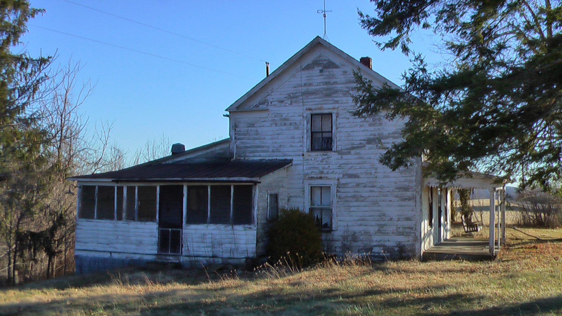 20081229_OH_PoppyA0018.JPG
