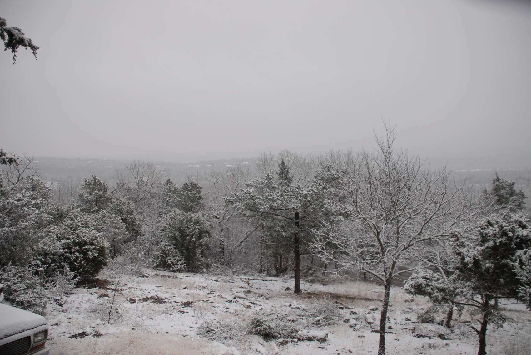 20091230-DSC_0101A.jpg