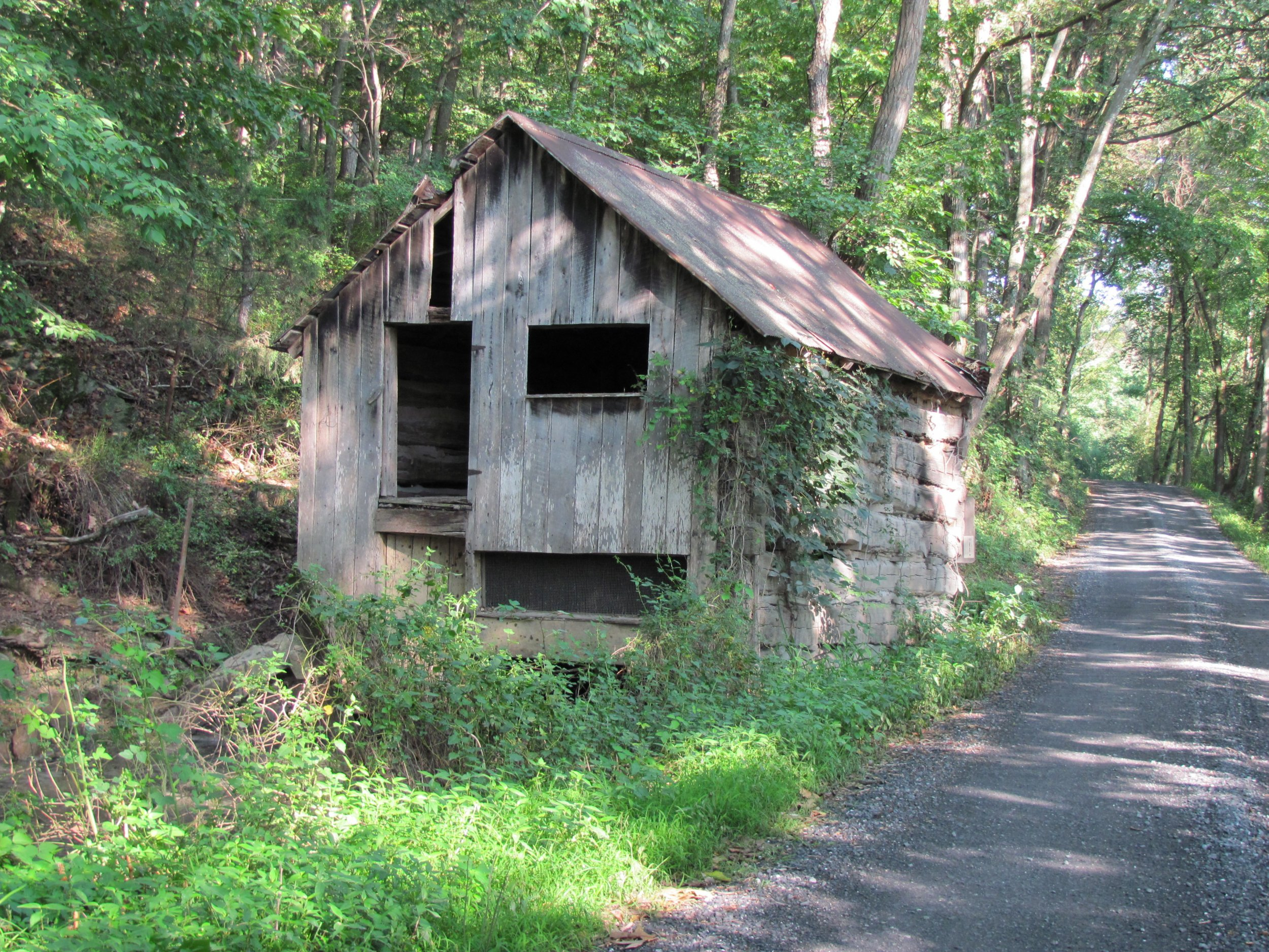 20100812_VA_SmokyTrip__0568_Philip4h.JPG