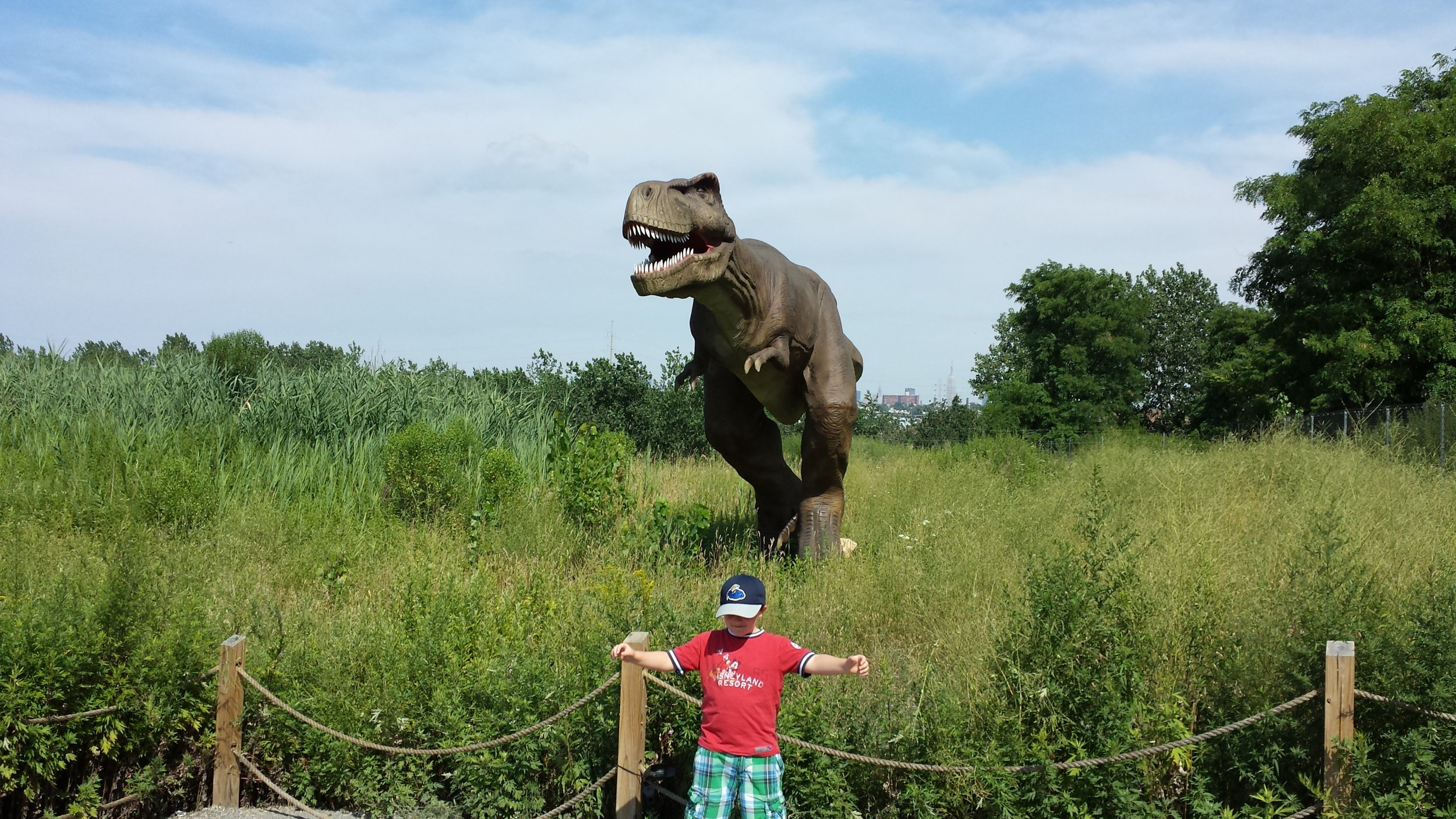 20130727_155110.jpg 20130727_155110.jpg