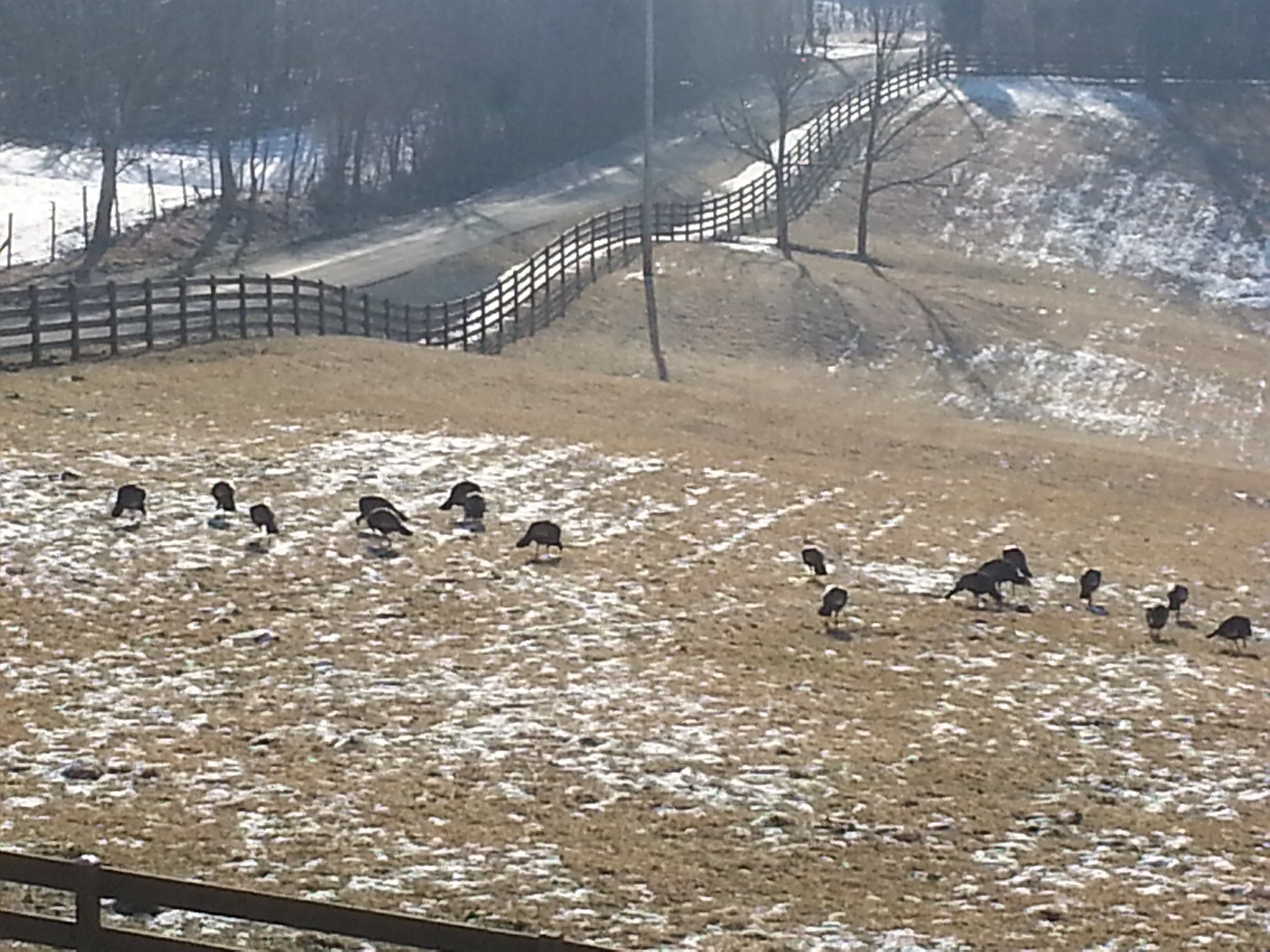 20140305_090348.jpg