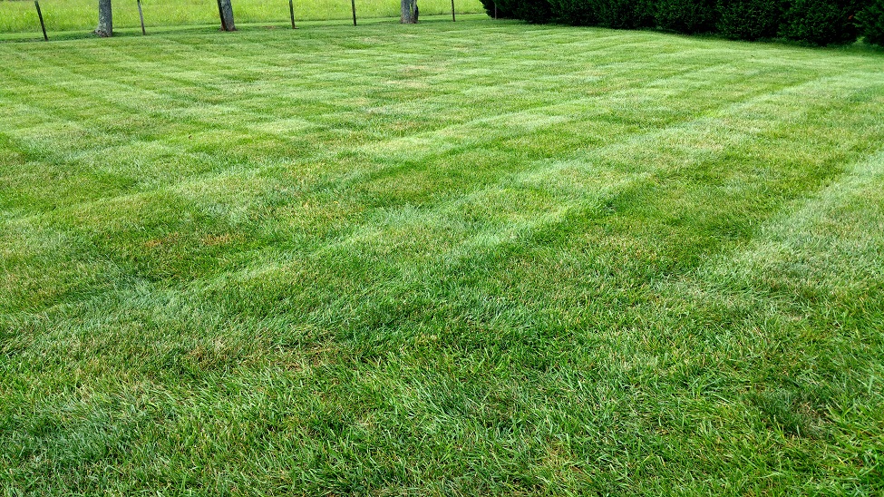 20160827_180451s.jpg