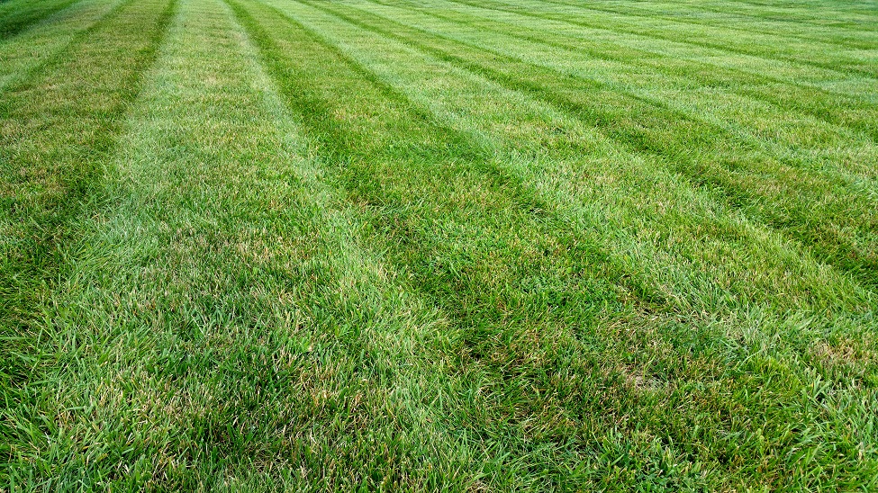 20160827_182140s.jpg