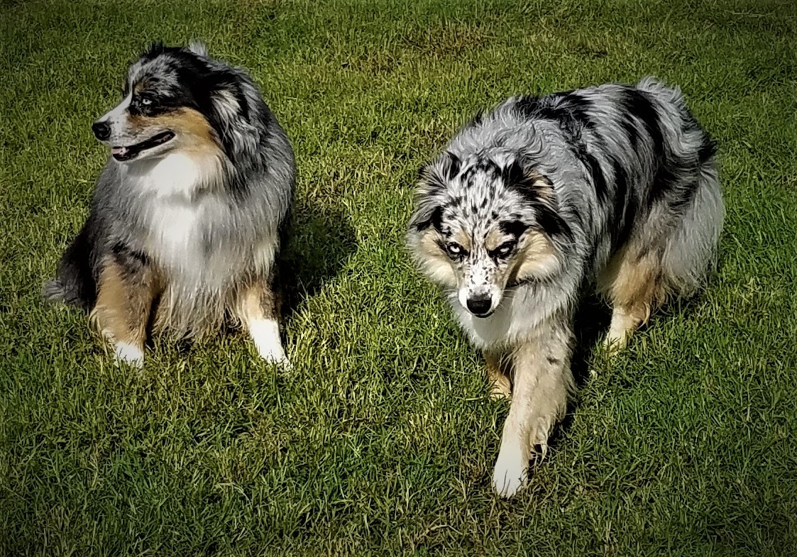 20160917_165358.jpg