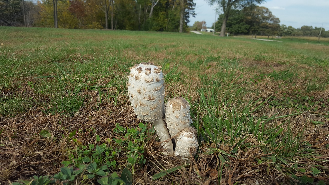20161016_145420.jpg