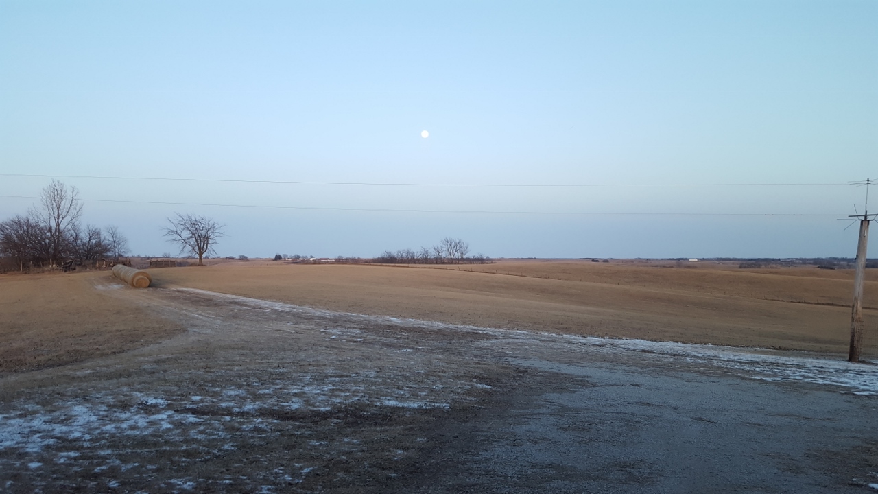 20170209_174204 (1280x720).jpg