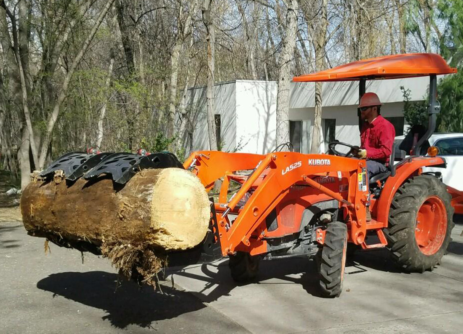 20170318_112433 (2)e.jpg