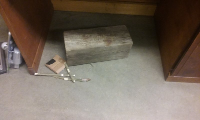 20170331_075951.jpg