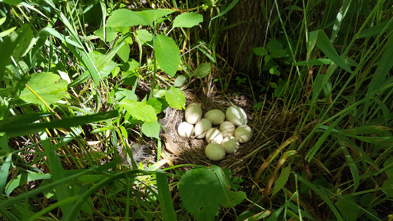 20170526_113759.jpg
