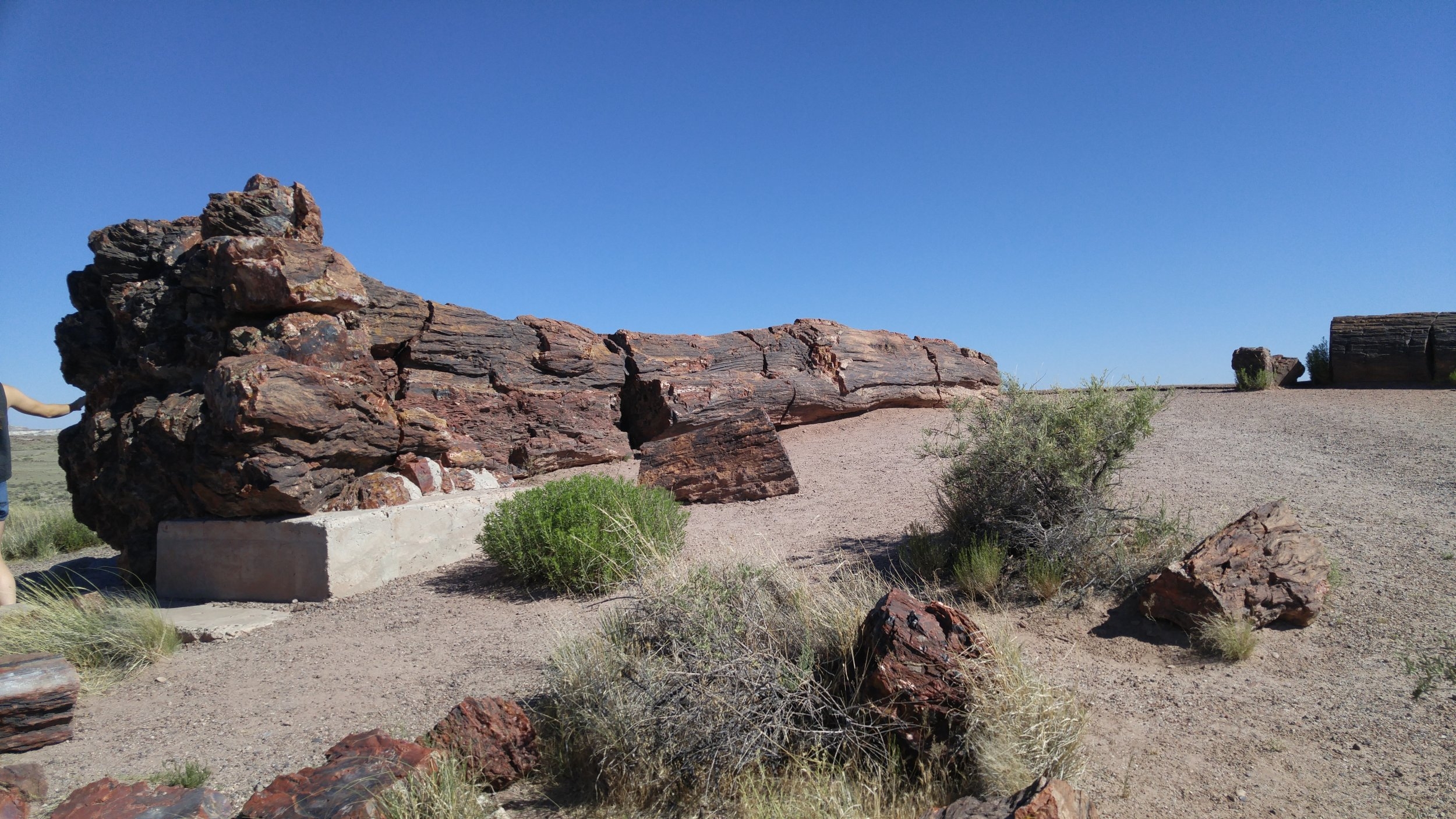 20170611_165801_AZ_GCTrip_PetrifiedForest_.jpg