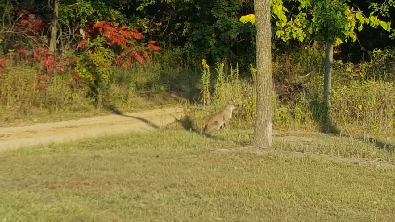 20170911_082612.jpg