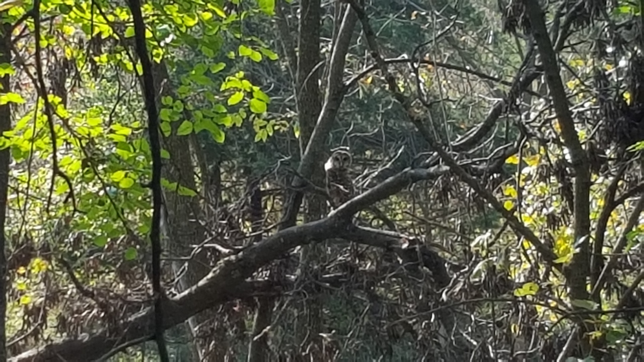 20171013_122636 (1280x720).jpg