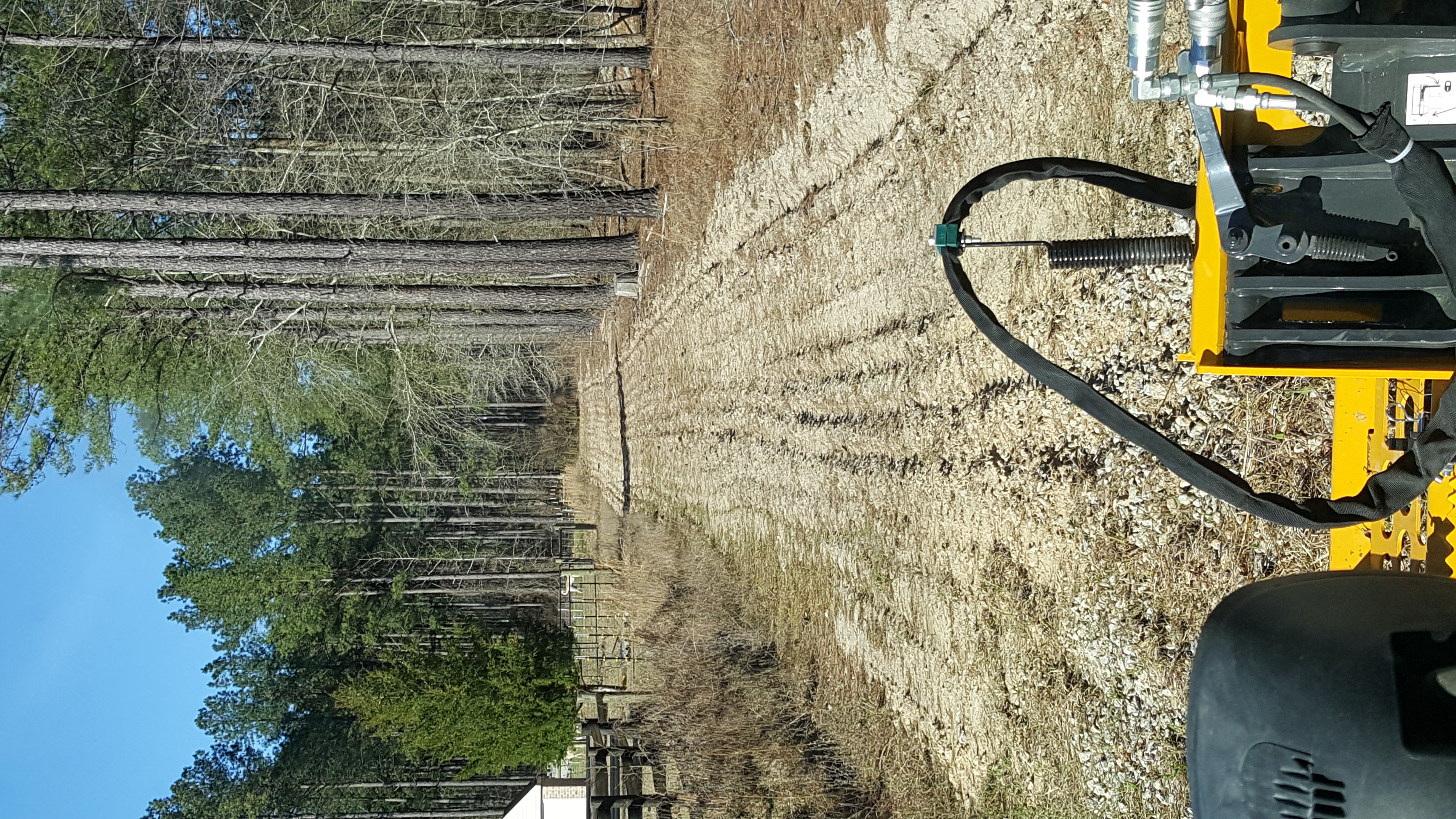 20180303_160925[1].jpg
