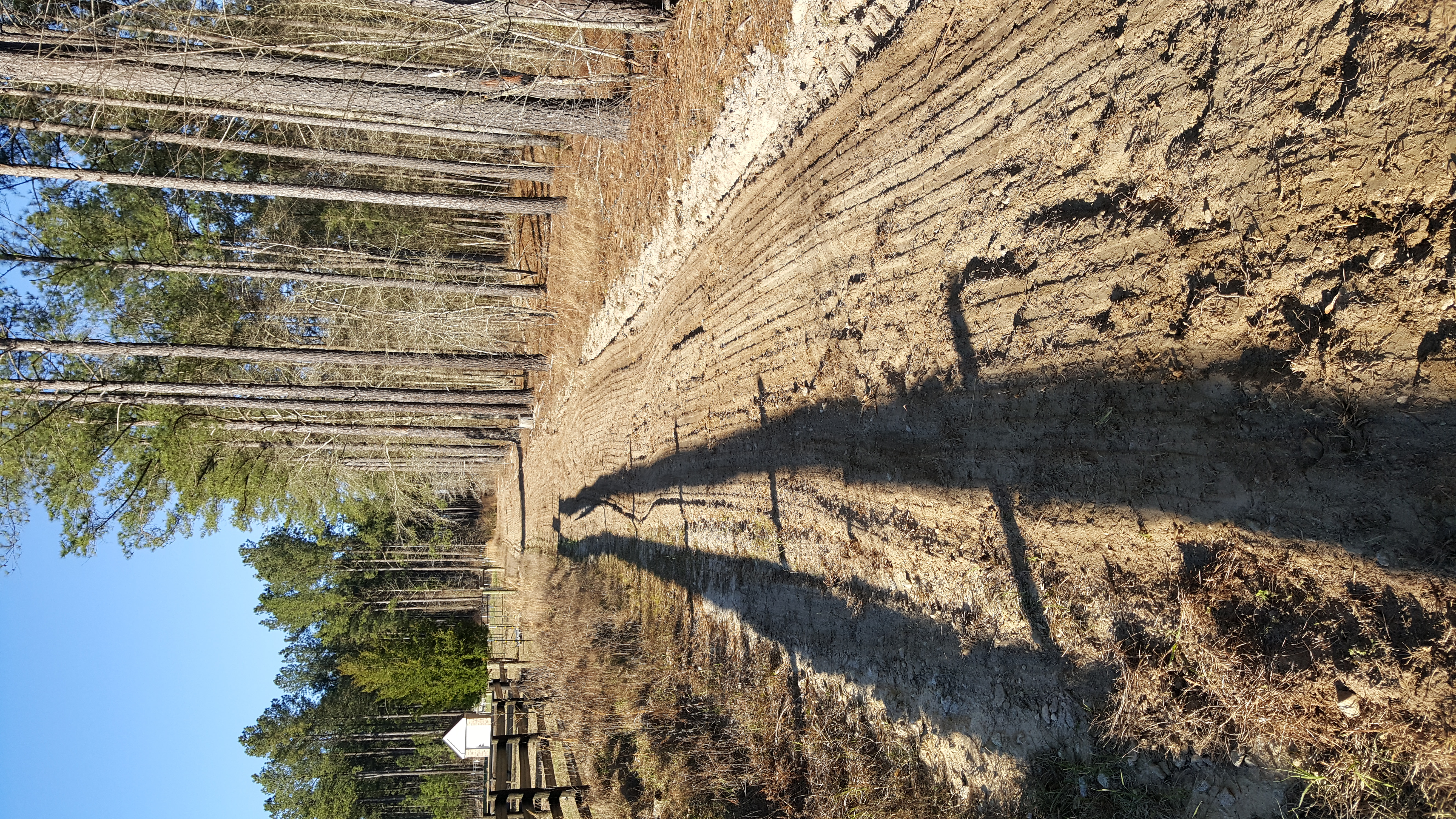 20180303_170005[1].jpg