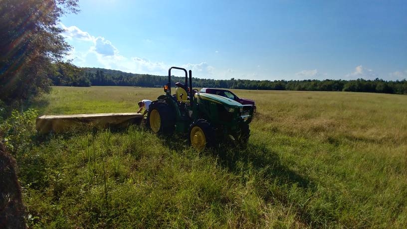 20180922_164945_HDR.jpg