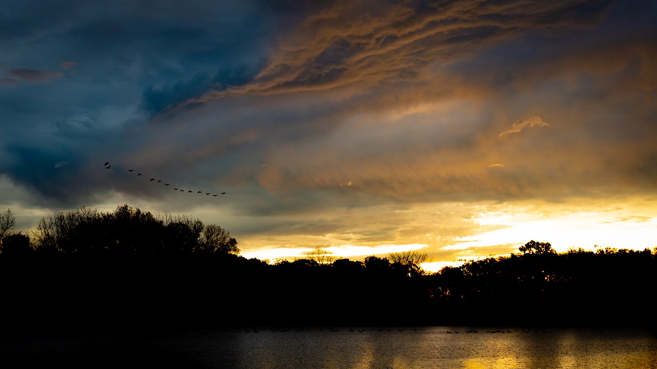 2019.10.15_libertyville_5dsr-0061.JPG