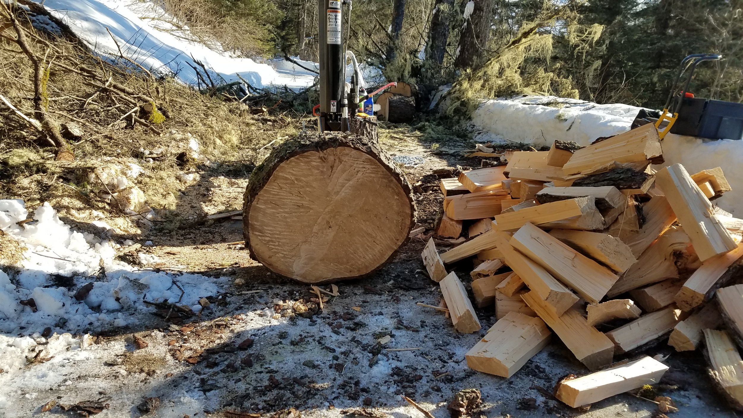 20190304_114438[1].jpg