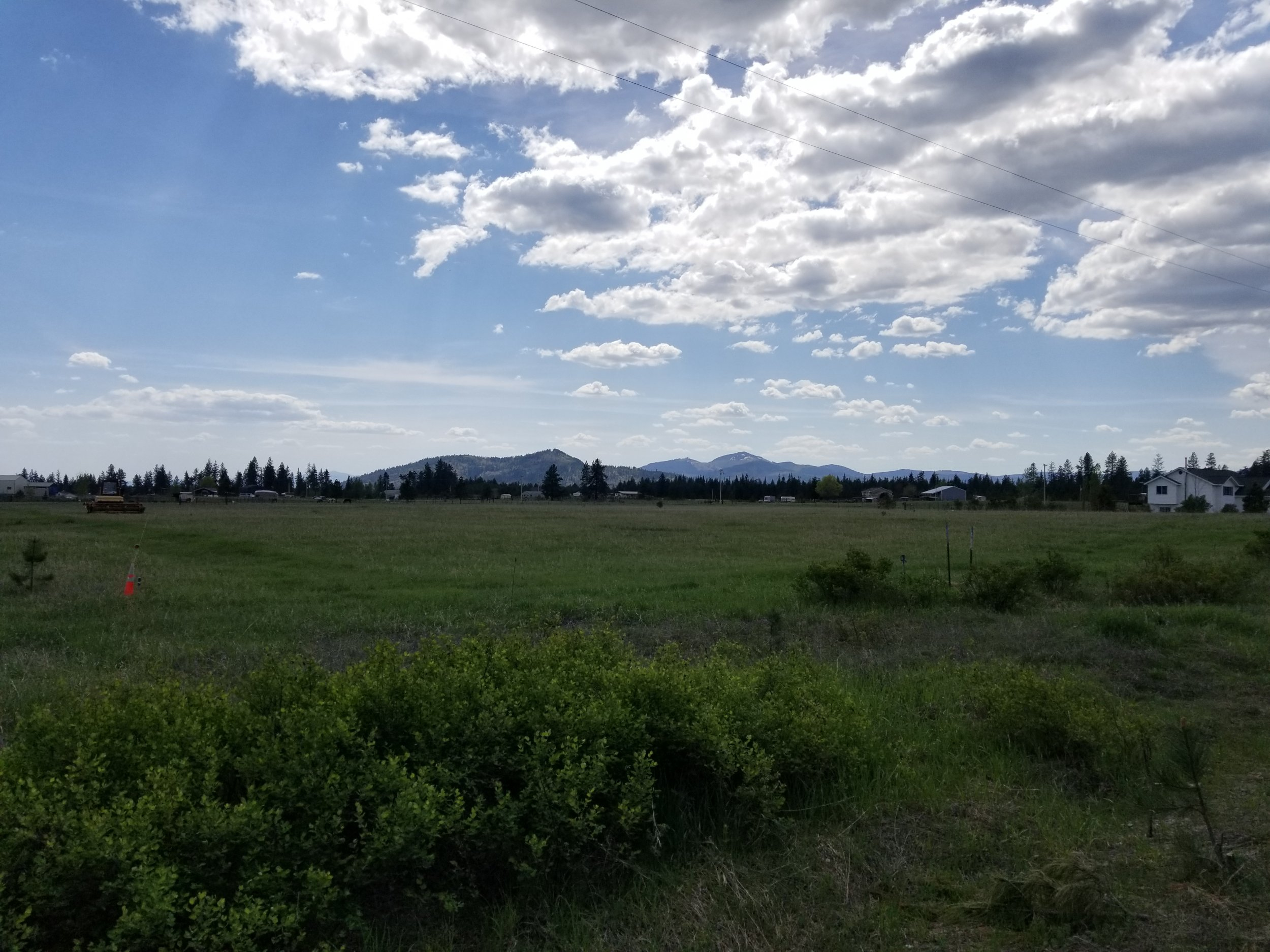 20190511_141836.jpg