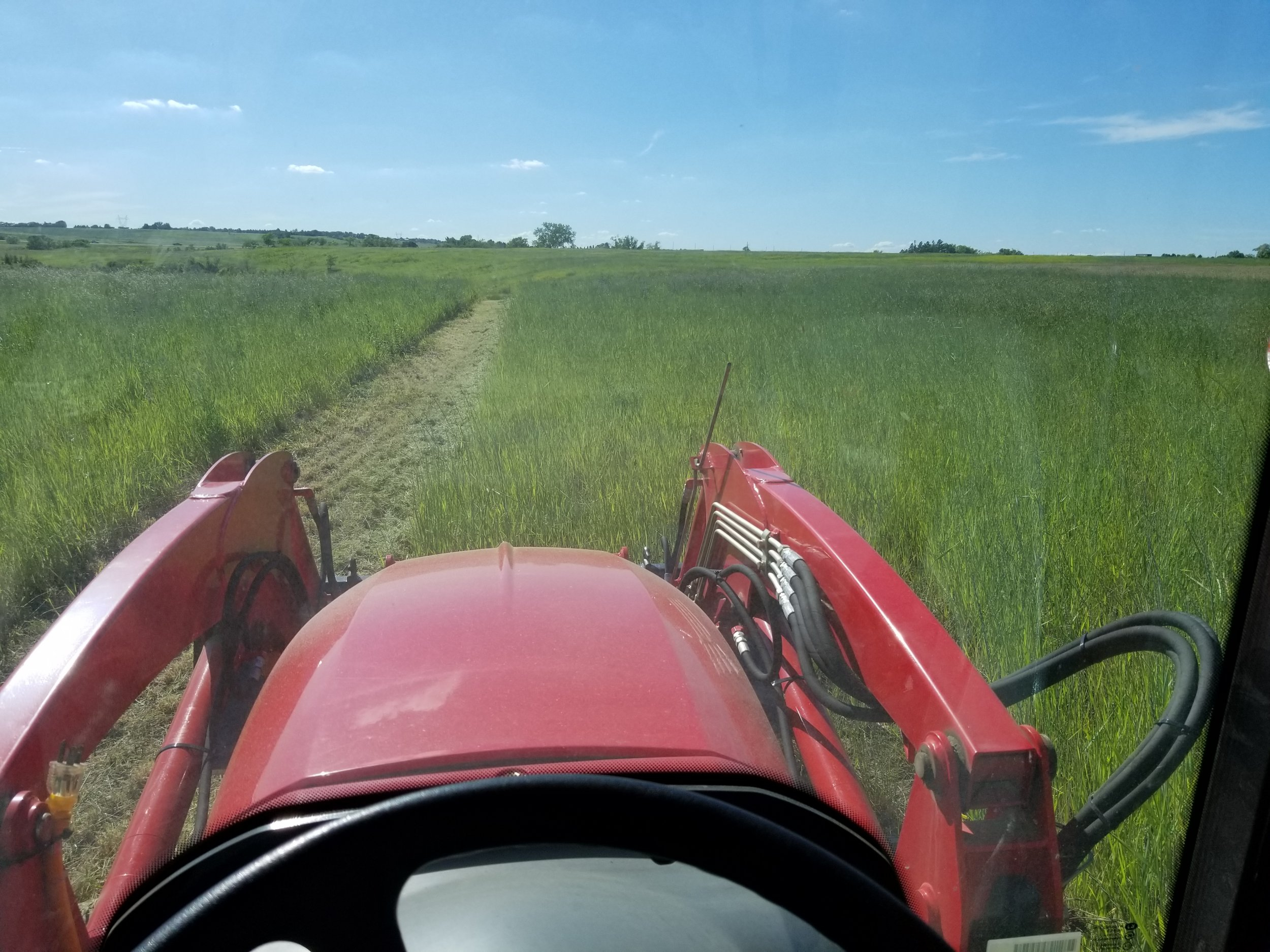 20190627_173304.jpg