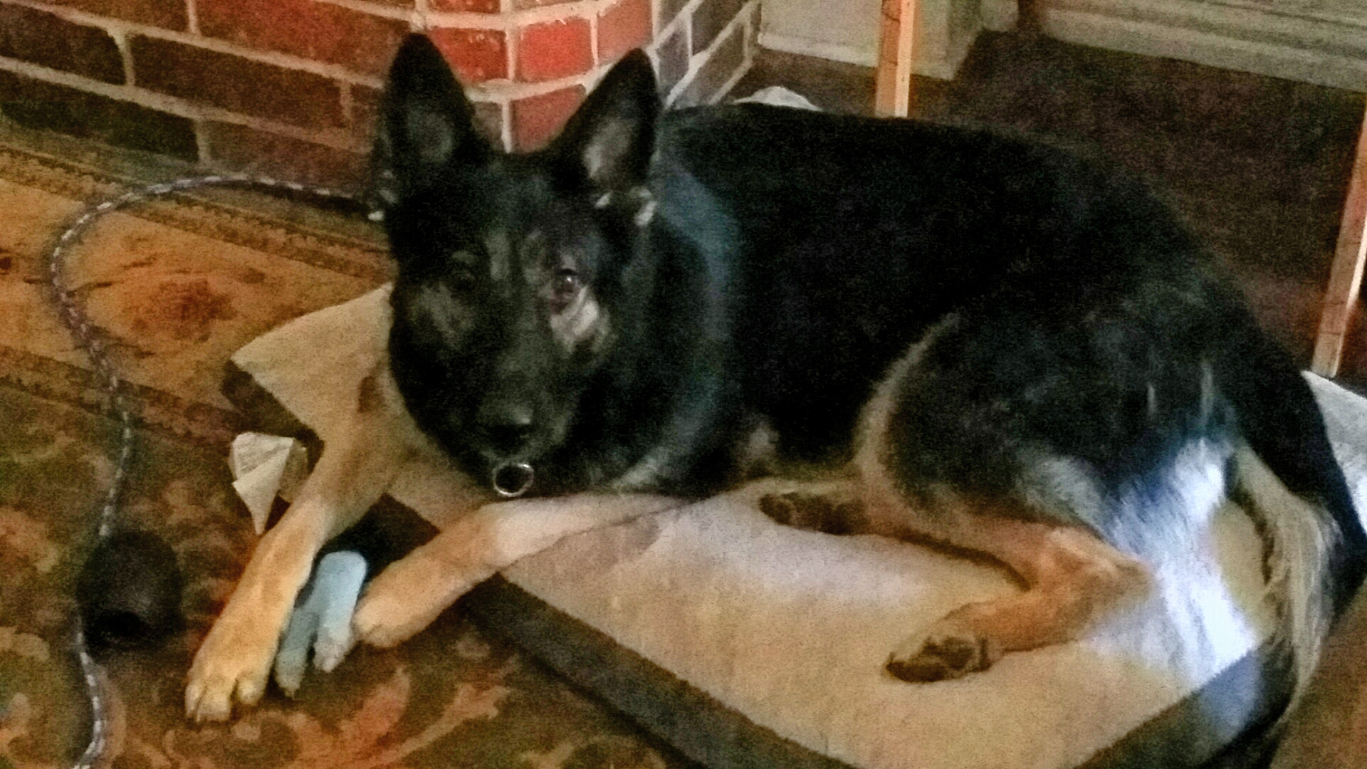 20190812_111728.jpg