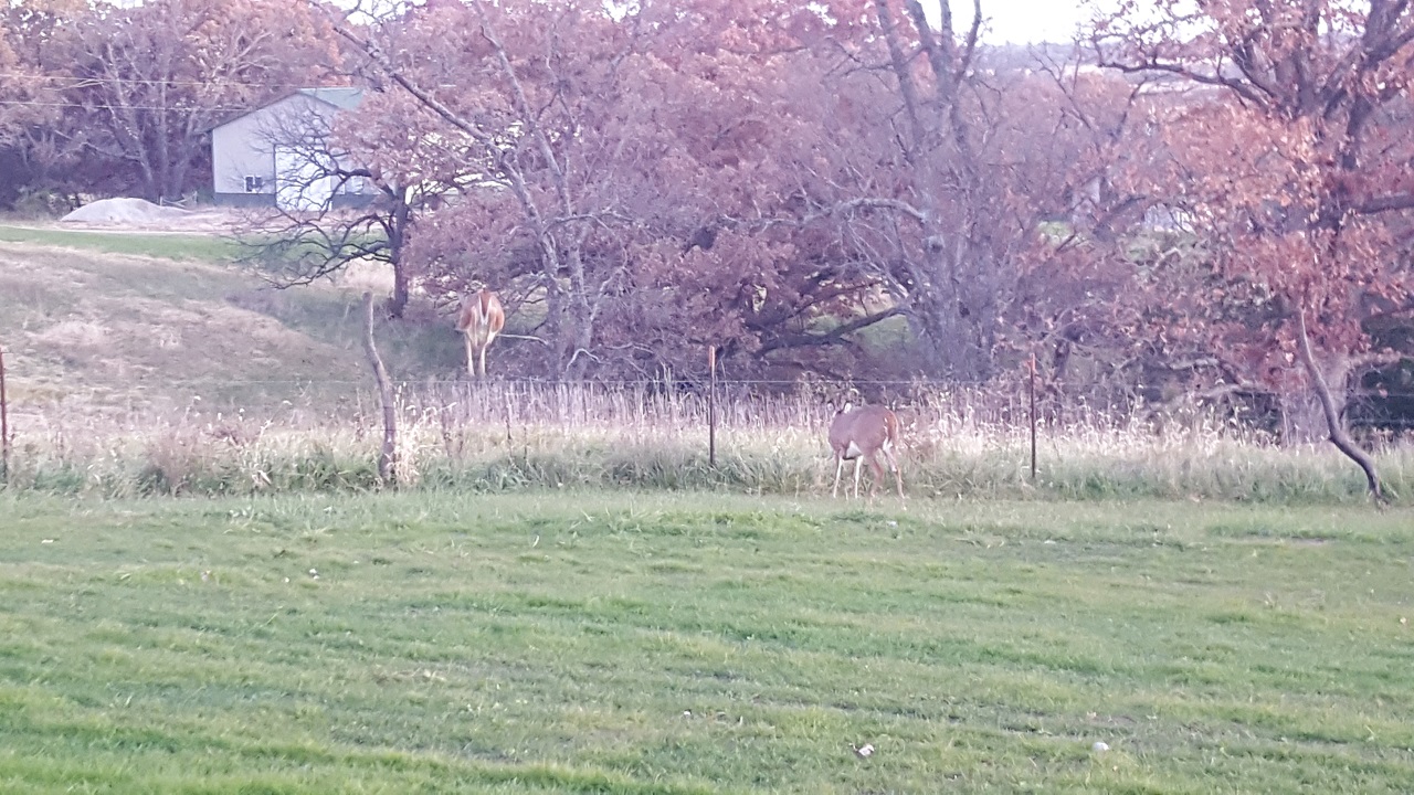 20191106_064120.jpg