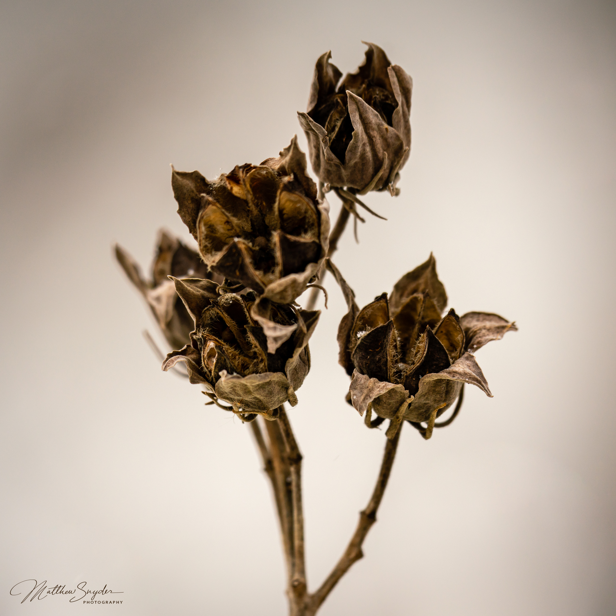 2020-02-08_15-28-52_0045.png
