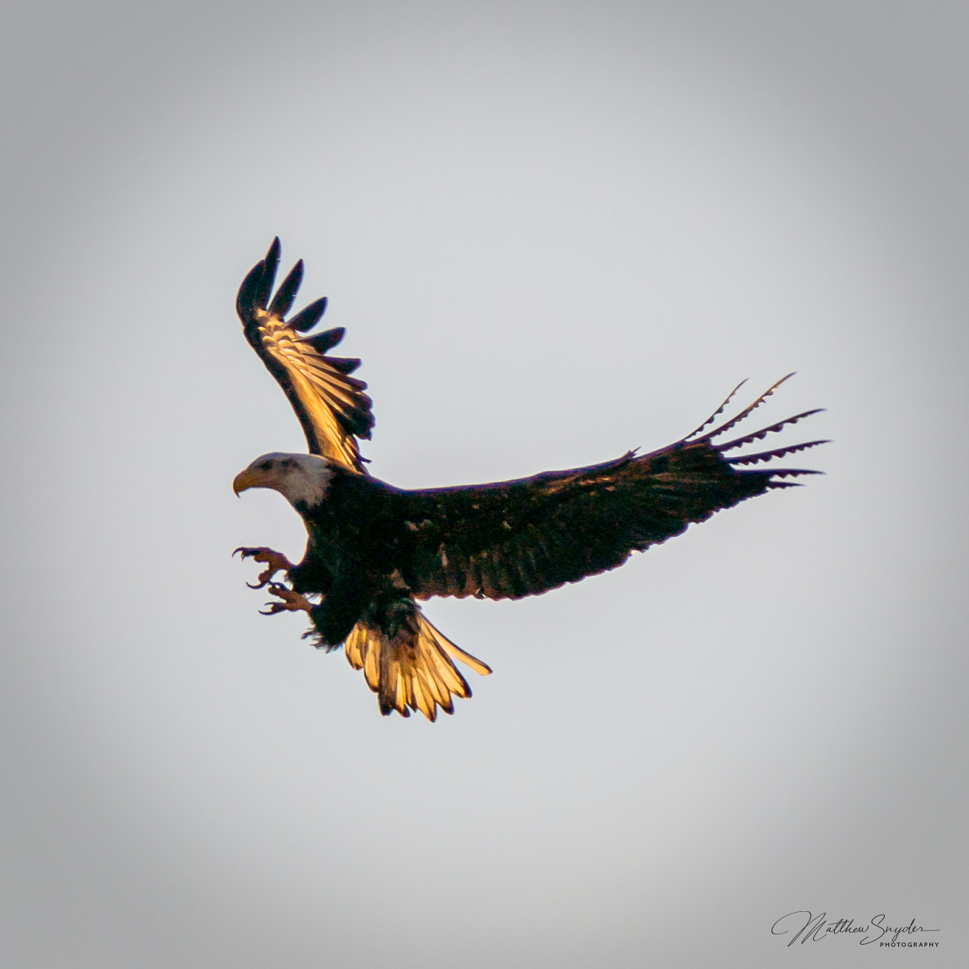 2020-03-01_16-41-14_0083.png