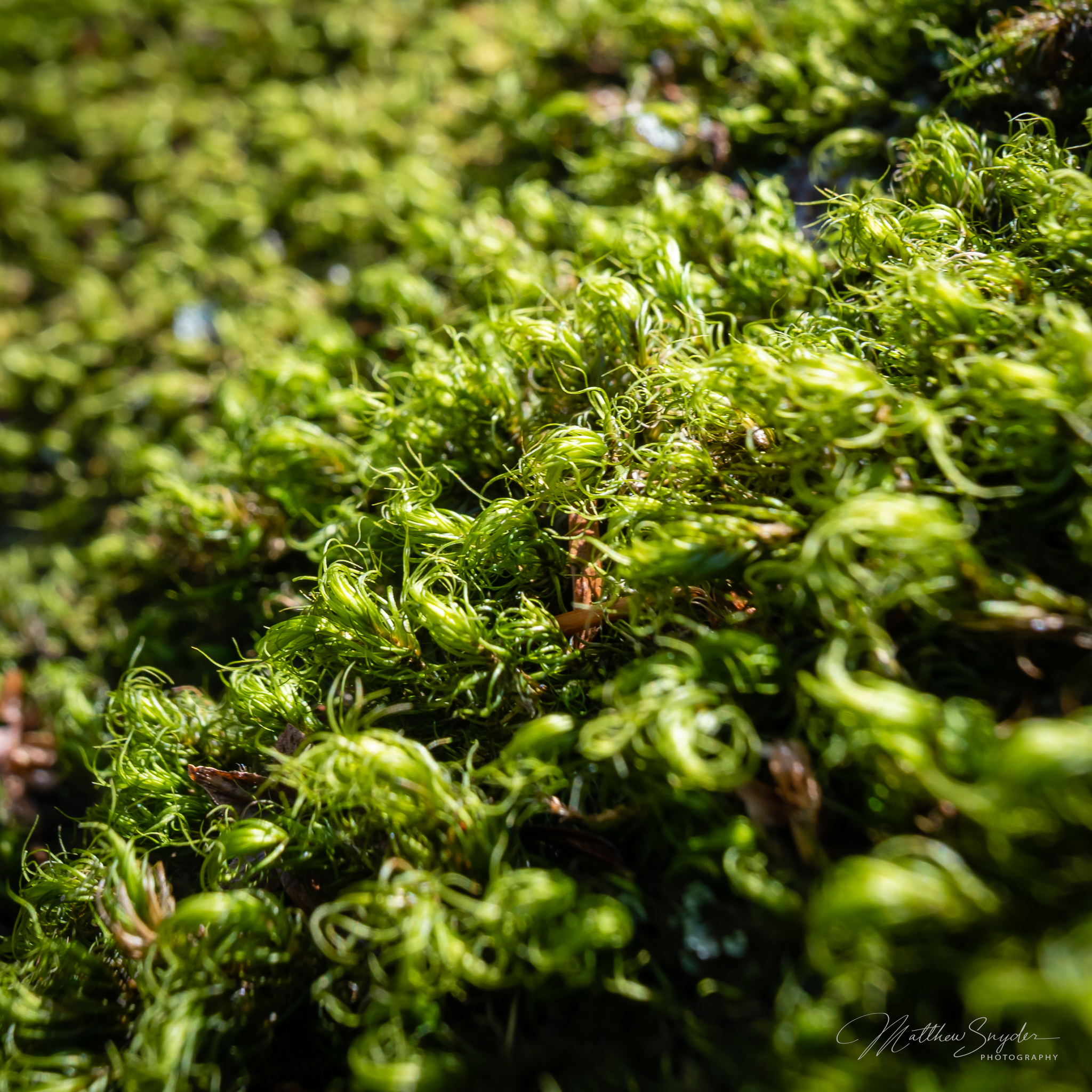 2020-03-07_15-38-17_0429.png