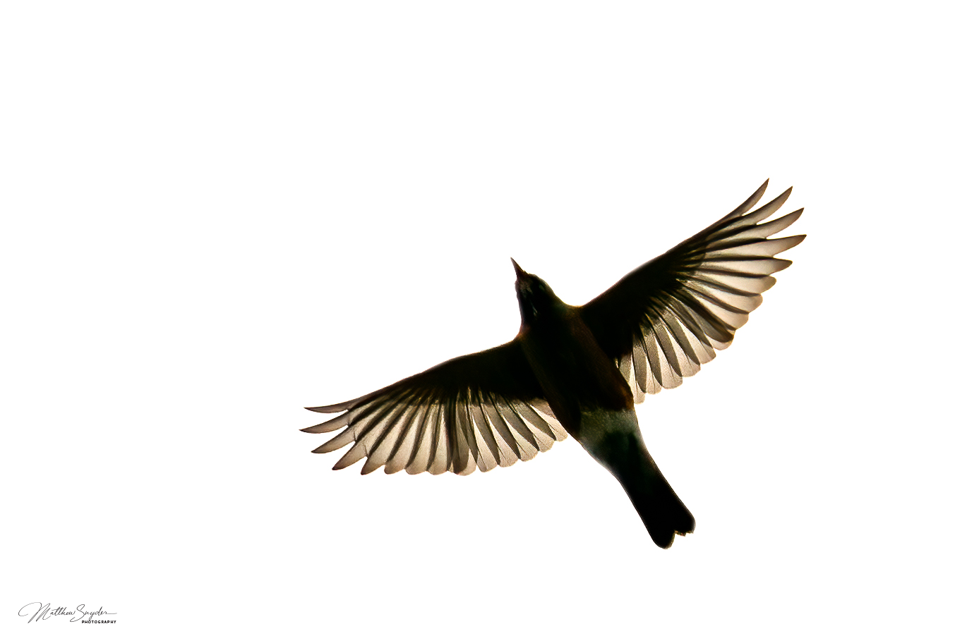 2020-03-14_14-32-34_0005.png