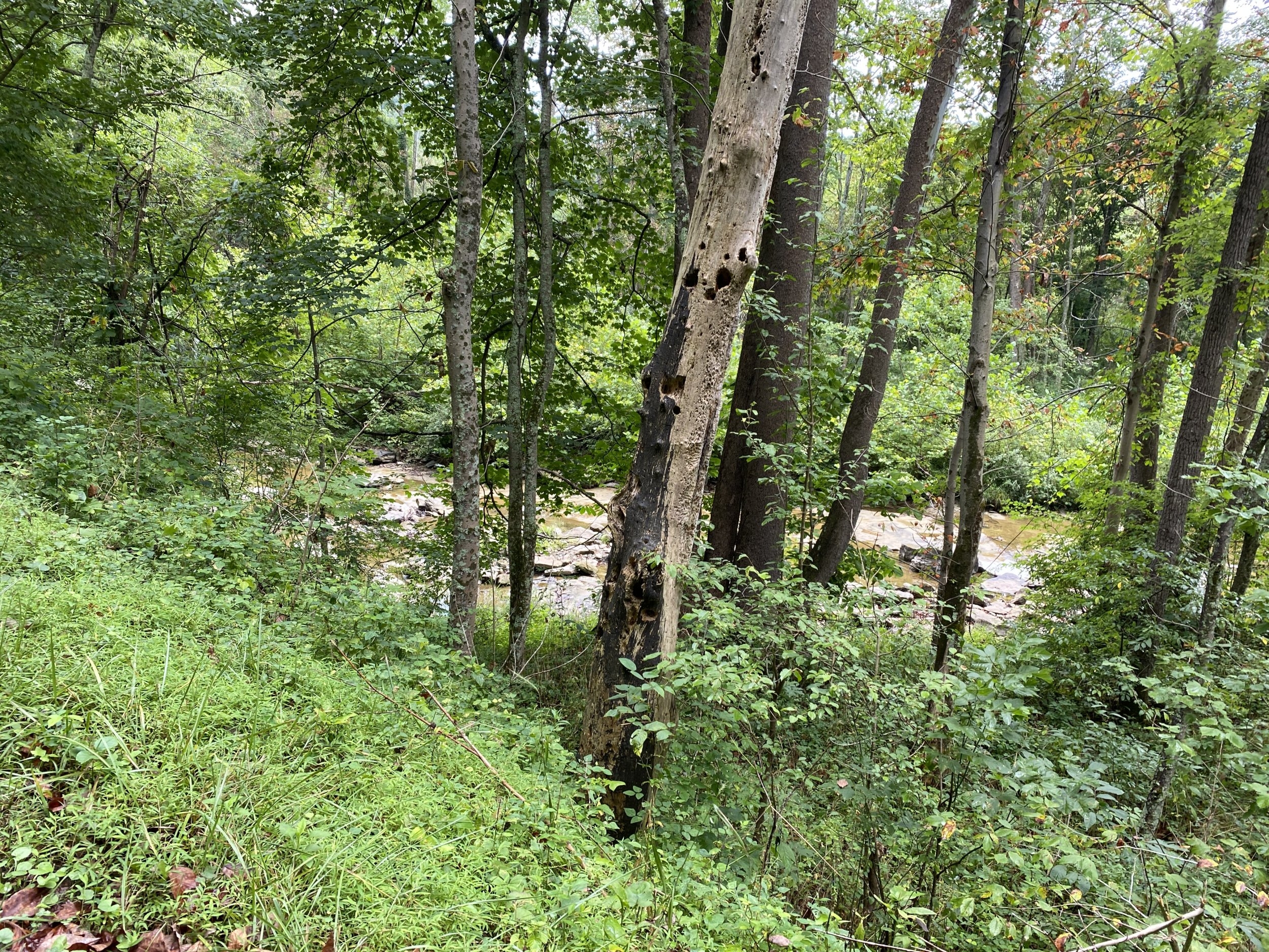 20200822_143453_OH_CoatsStationSunfishCreek.JPG