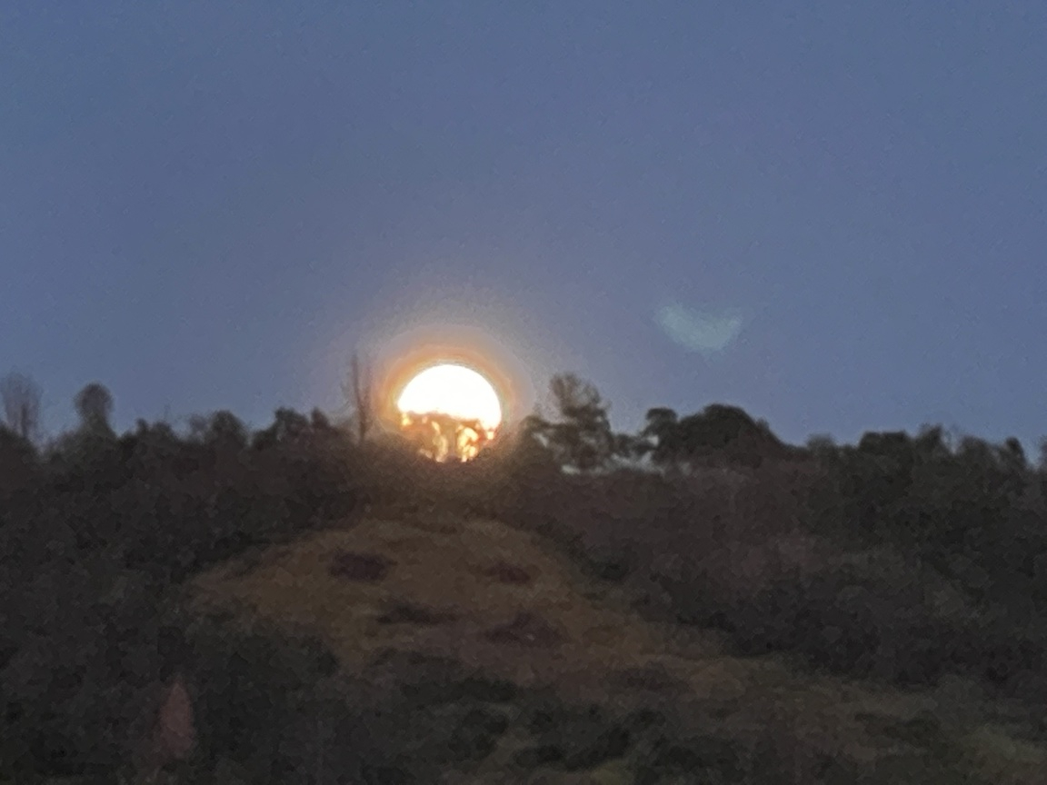 2021-04-26moonRise.jpg
