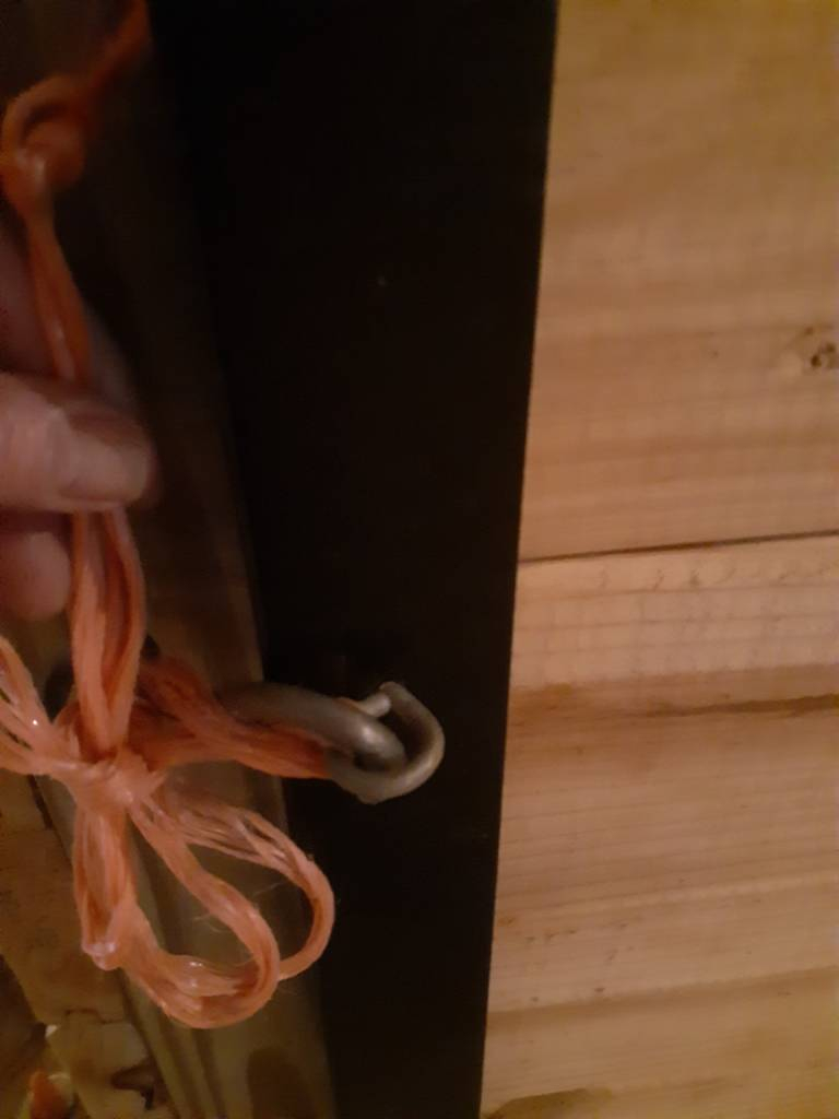 20210307_181204.jpg