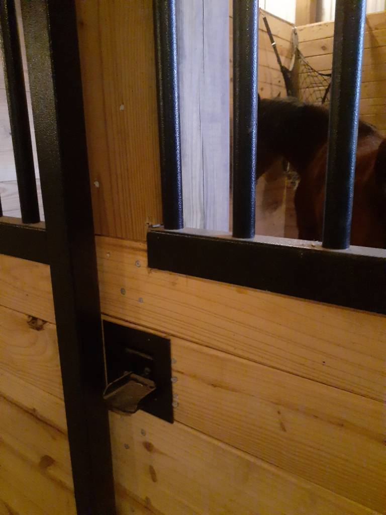20210307_181236.jpg