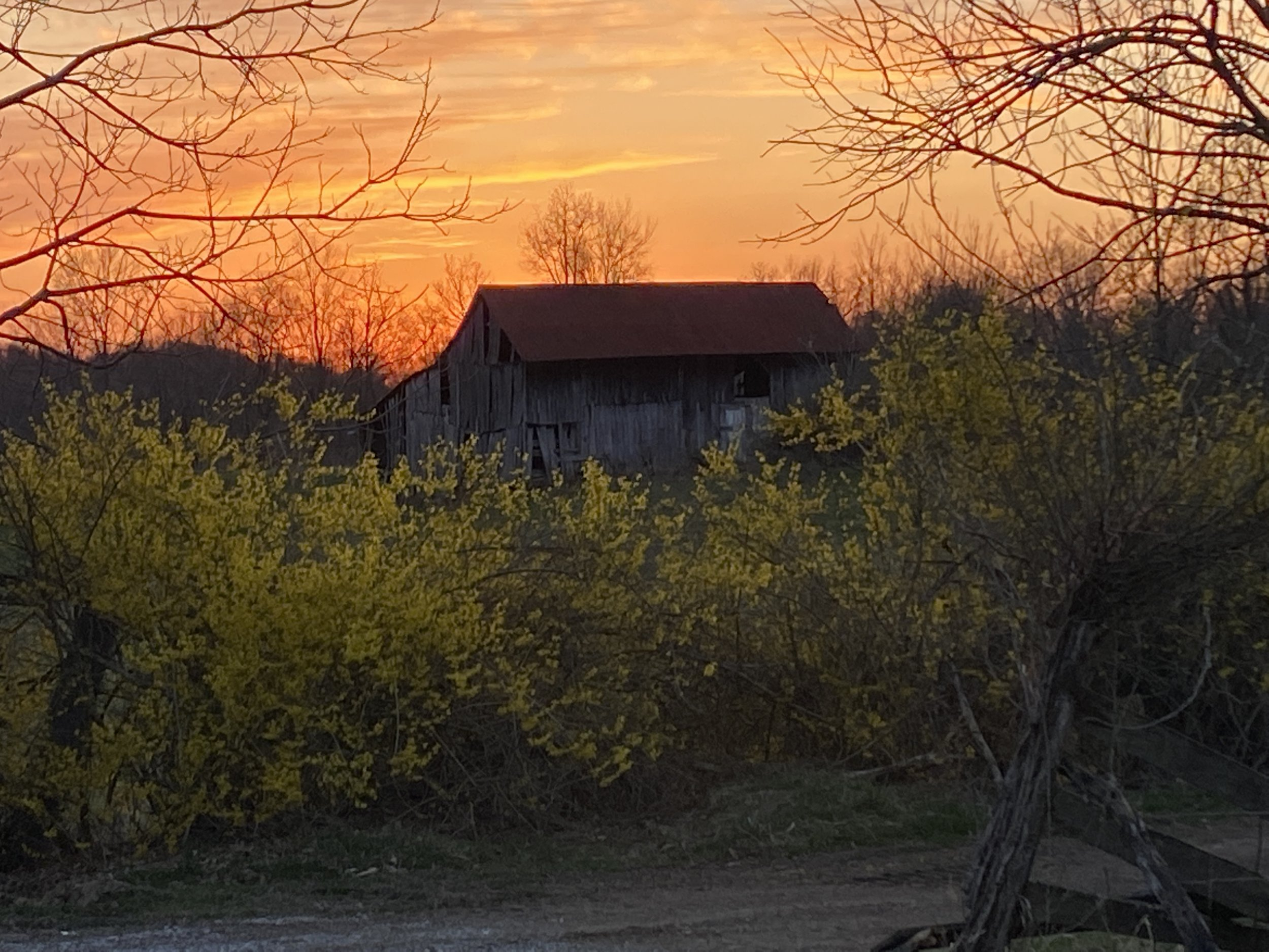 20210327_194333__OH_Farm_.JPG