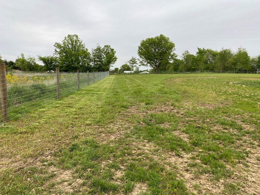 20210511 Pasture Mowing 1.JPG