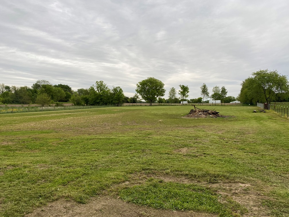 20210511 Pature Mowing 2.JPG