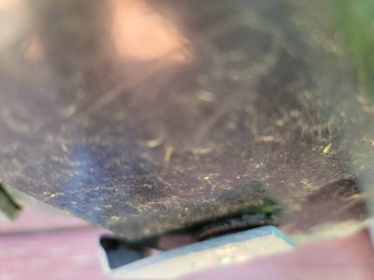 20210611_144933.jpg