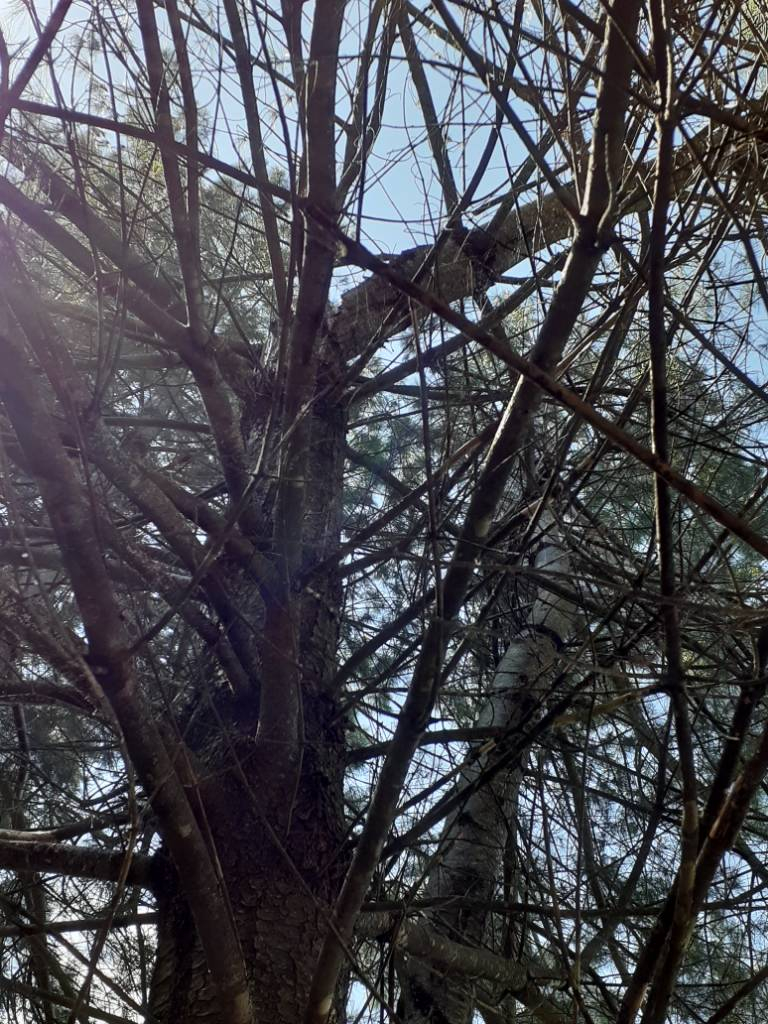 20210628_152905.jpg