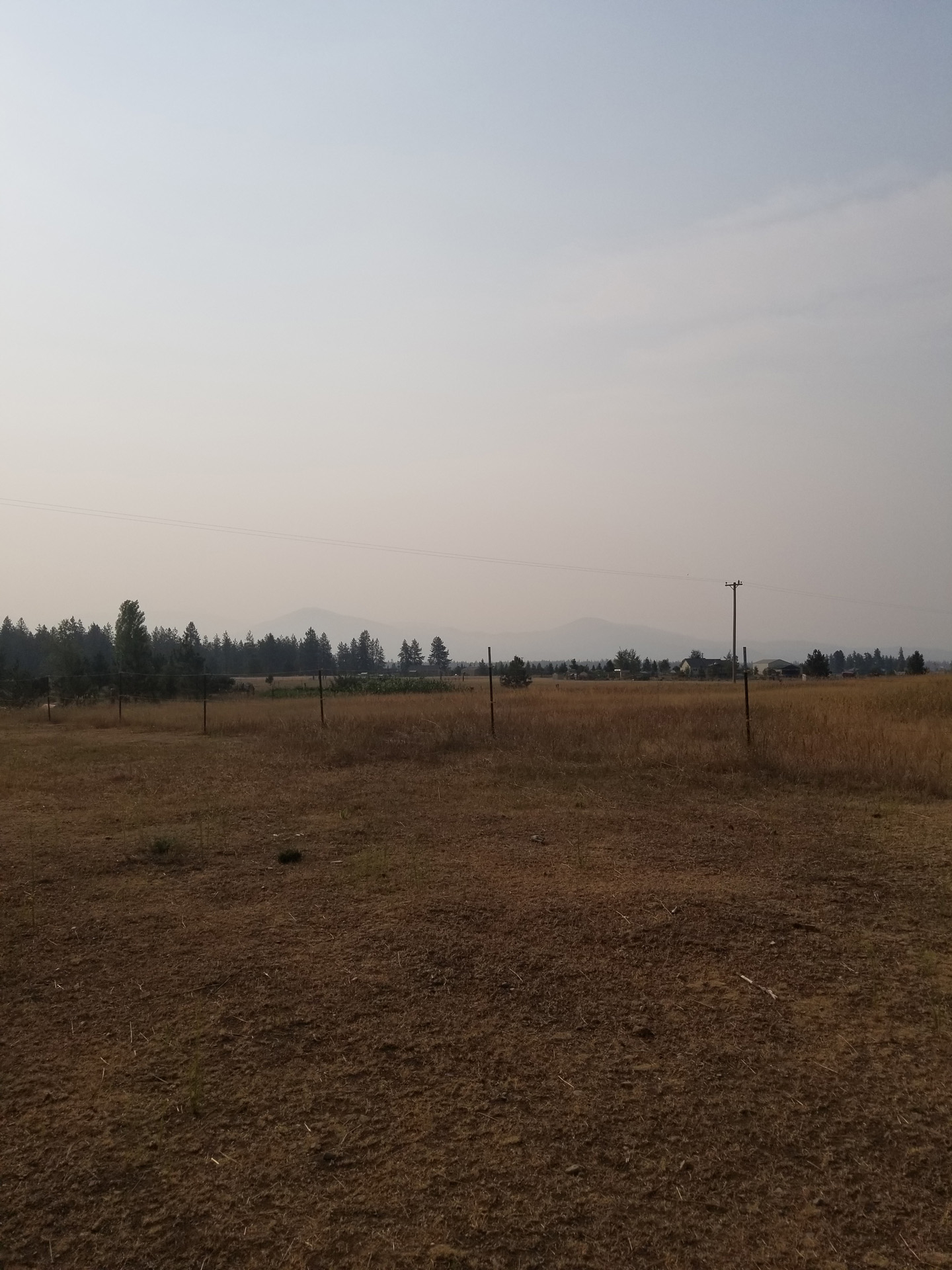20210804_082435.jpg