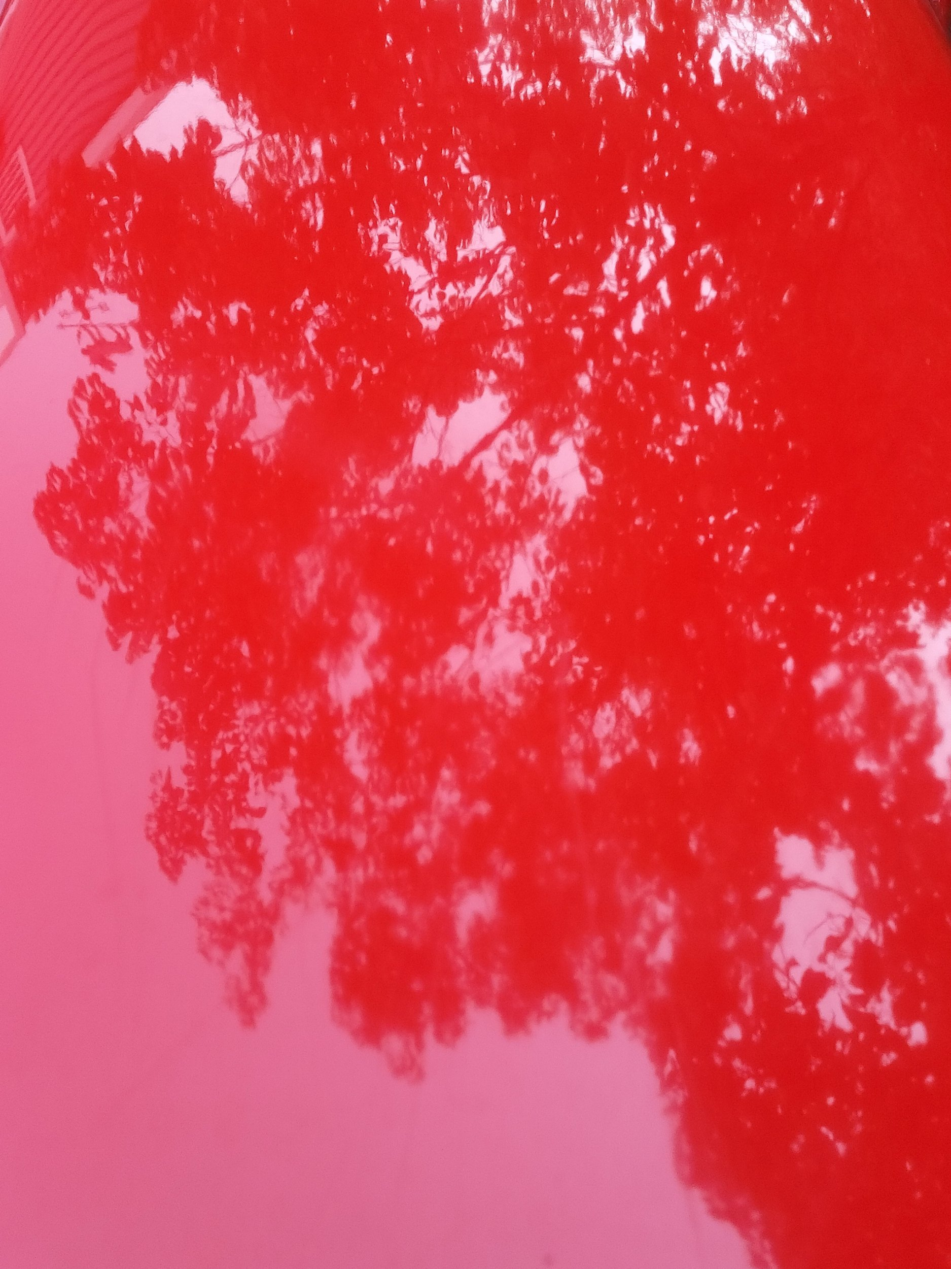 20210904_182020.jpg