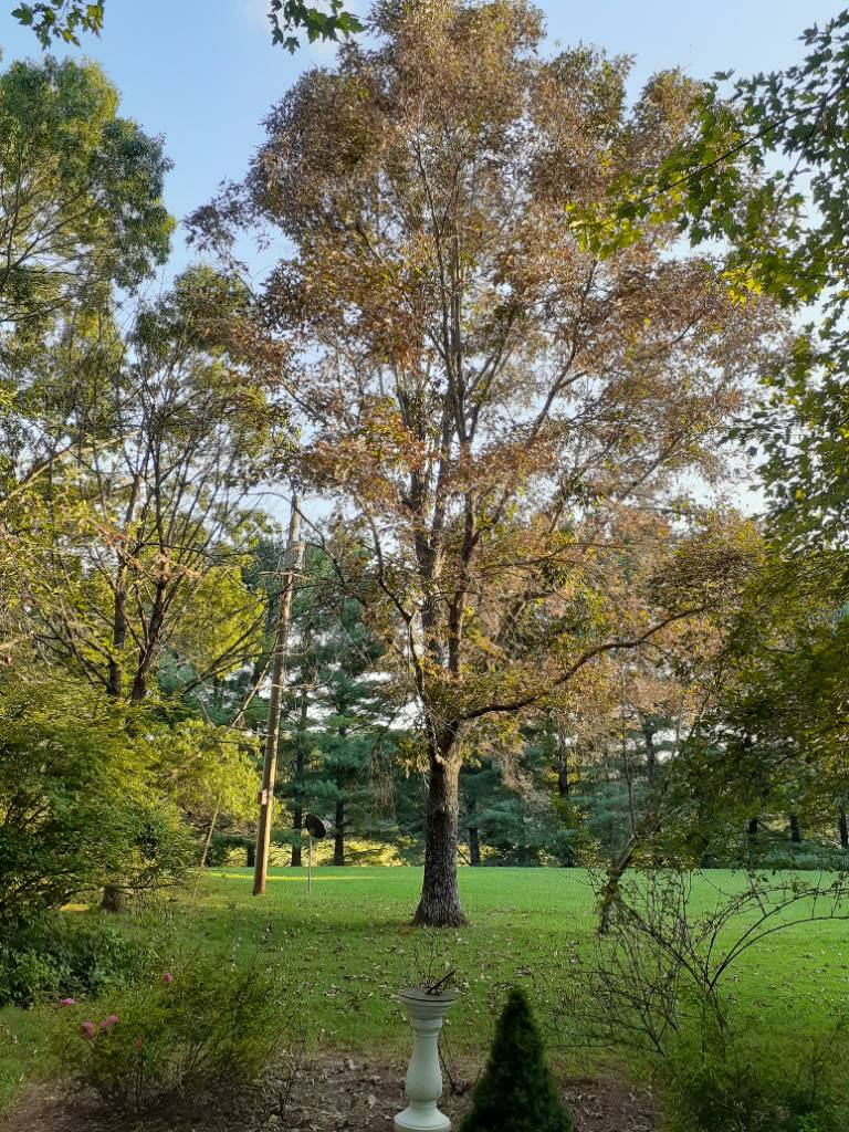 20210914_182337.jpg