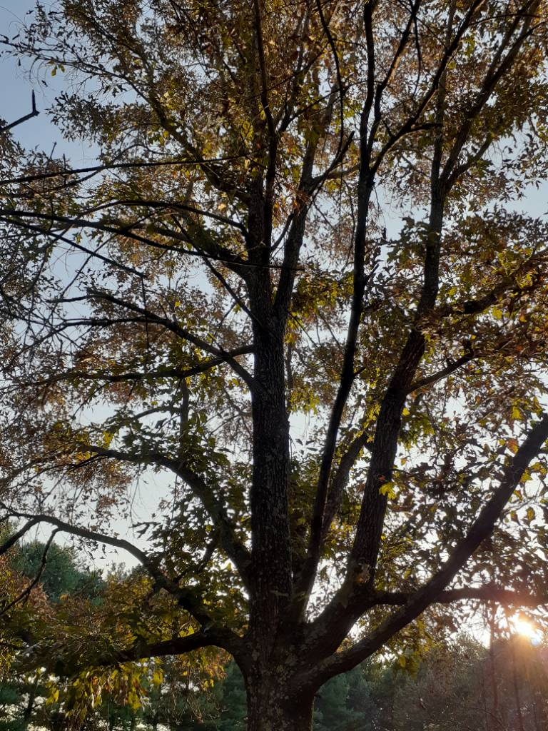 20210914_182425.jpg