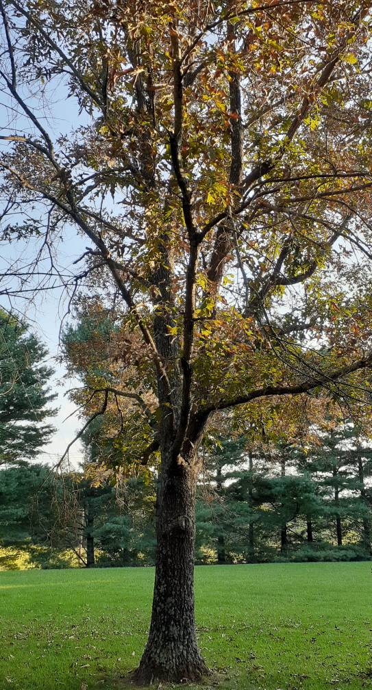 20210914_182627.jpg