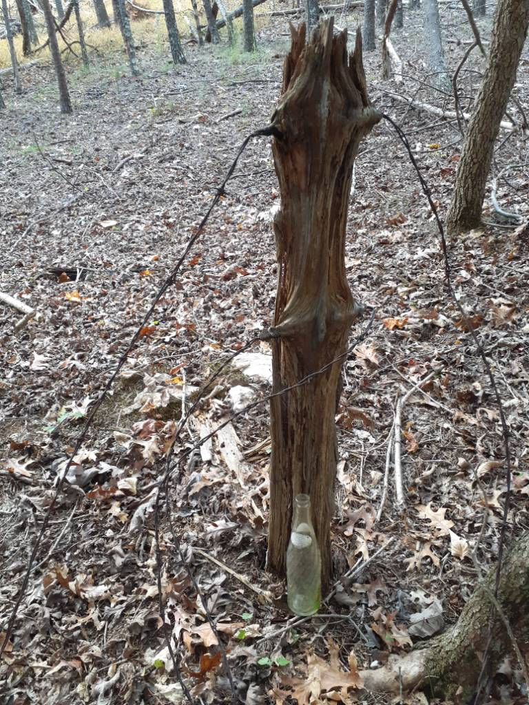 20211025_152043.jpg