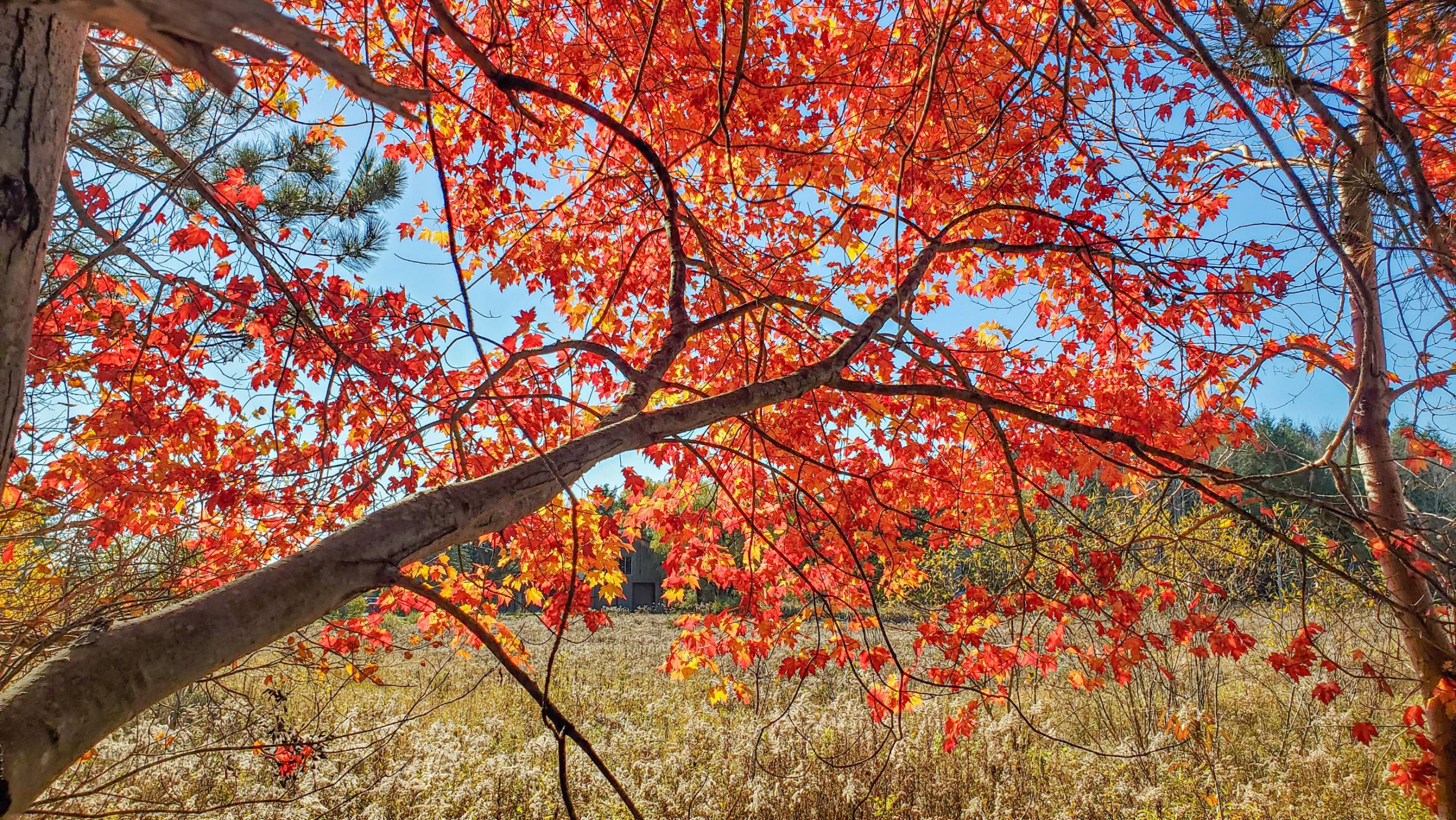 20211106_145718-2small.jpg