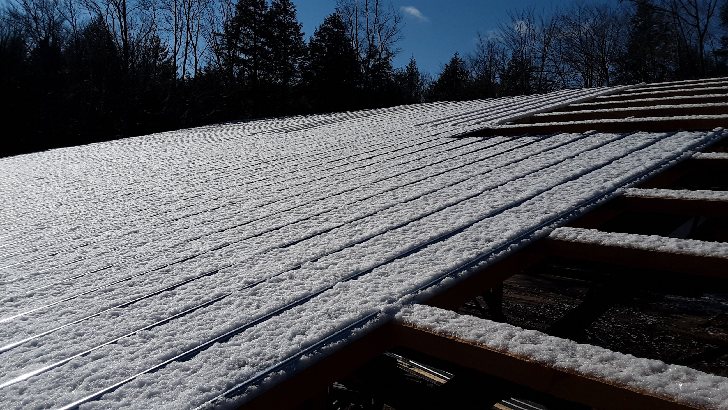 20211127_115933.jpg