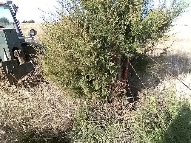 20211127_150340.jpg